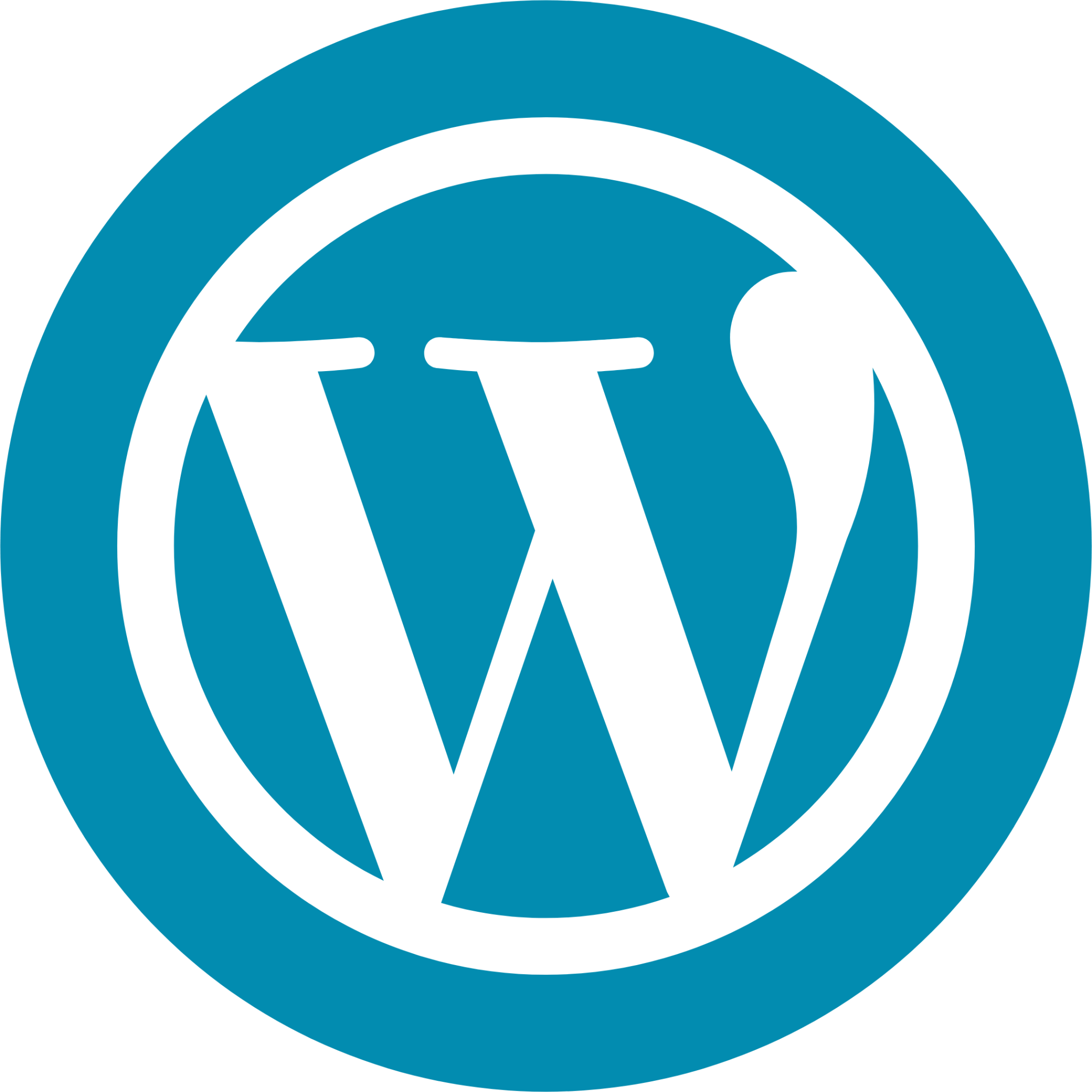 wordpress wordpress